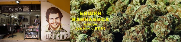 крисы Ессентукская
