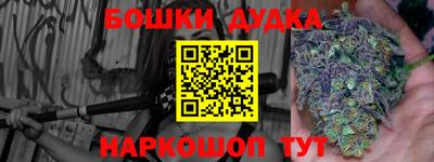 индика Донецк