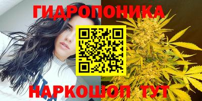 индика Донецк