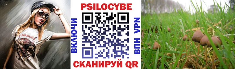 Галлюциногенные грибы прущие грибы  Краснодар 