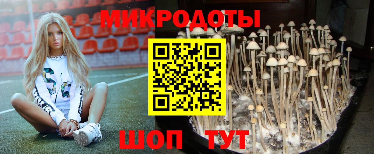 Псилоцибиновые грибы GOLDEN TEACHER Краснодар