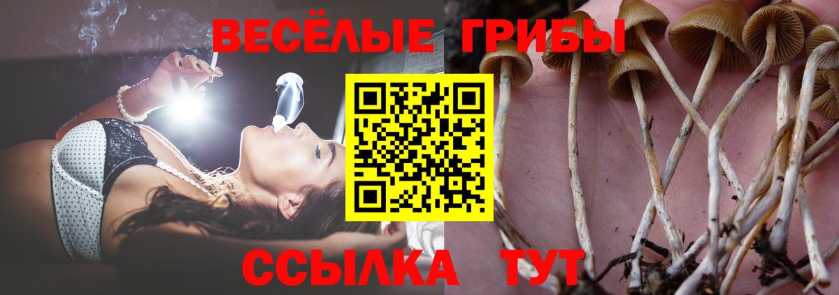 цены наркотик  Вход с VPN  Краснодар  Галлюциногенные грибы Magic Shrooms 